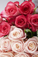 roses