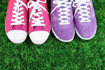 Beautiful gumshoes on green grass background