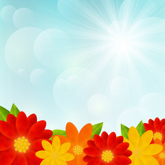 Fototapeta premium Bright flowers on sunny background