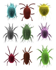realistic 3d render of mites