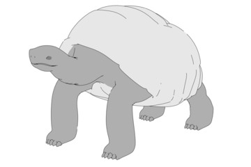 cartoon image of geochelone nigra