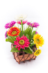isolated of the fake flower with colorful daisy on white backgro