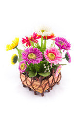 isolated of the fake flower with colorful daisy on white backgro