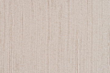 Fototapeta premium Beige vinyl texture
