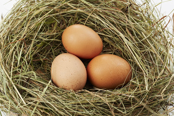 drei braune Eier im Strohnest