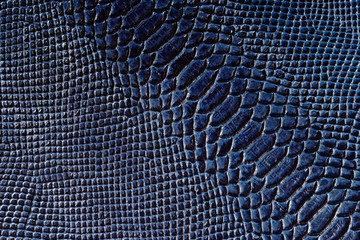 Dark blue snake leather close up