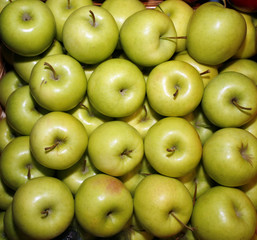 Green apples at the farmers market