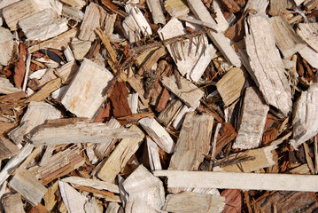 Wooden chips on the ground, closeup
