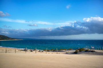 Protected Vegetation. Valdevaqueros Beach. Tarifa, Cadiz, Spain