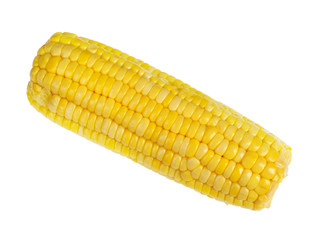 Ear of corn