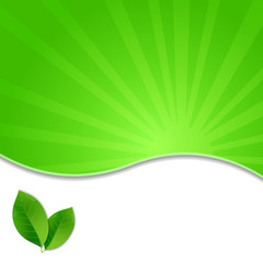 Eco Green Leaves Poster,