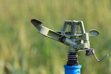sprinkler head watering