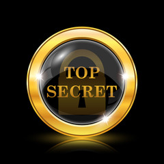Top secret icon