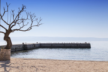 Fototapeta na wymiar Small pier with seagulls on Mediterranean coast