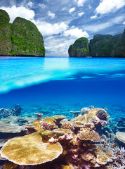 Obraz premium Lagoon with coral reef underwater view