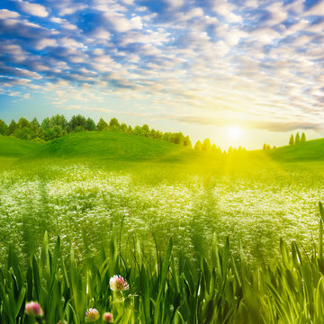 Beauty evening on the meadow, abstract summer landscape