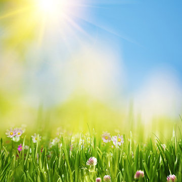 Summer meadow under bright yellow sun, natural backgrounds