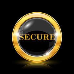 Secure icon
