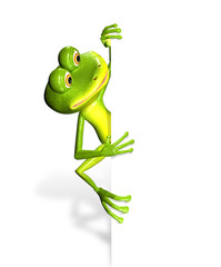 Frog and white background