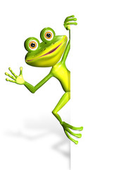 Frog and white background