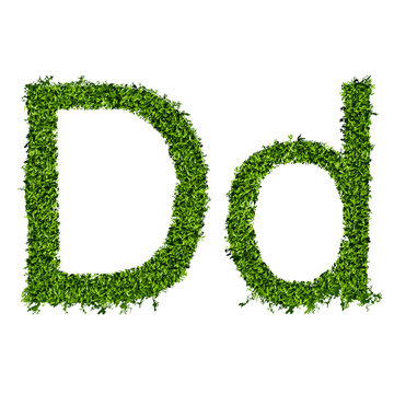Isolated grass alphabet D