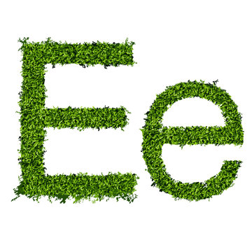 Isolated grass alphabet E