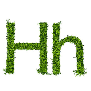 Isolated grass alphabet H