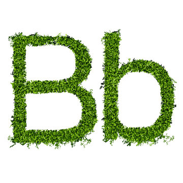 Isolated grass alphabet B