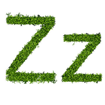 Isolated alphabet of grass