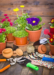 Gardening tools and flowers
