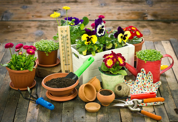 Gardening tools and flowers