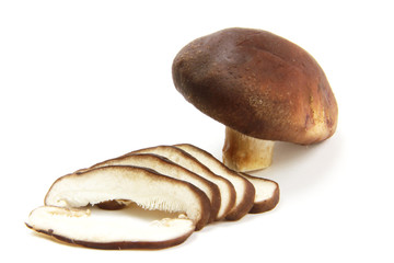 mushroom