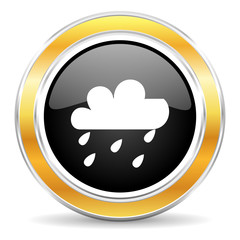 rain icon