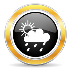 rain icon