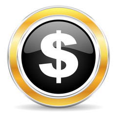 dollar icon