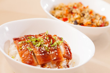 eel on rice,unaju, japanese unagi cuisine