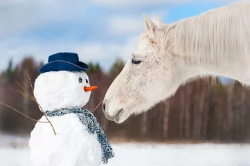 Store enrouleur Chevaux Portrait de cheval gris avec bonhomme de neige