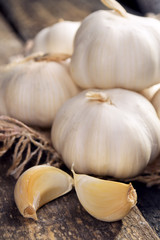 Garlic