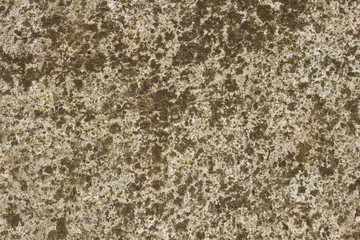 Rock texture closeup