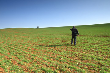 Field, man and tree