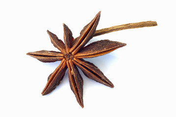 Anise isolated on white background