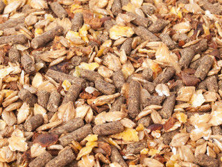 natural sportive  muesli background. for horse.