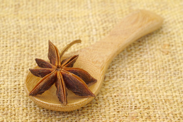 Fototapeta na wymiar spices on a wooden spoon