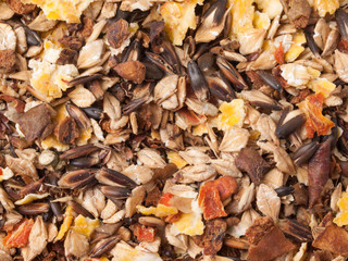 sportive  muesli background with black oats. for horse.