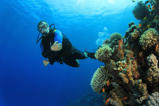 Scuba diver and coral reef underwater