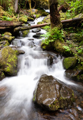 Waterfall onTrail Punch Bowl Falls Columbia River Gorge