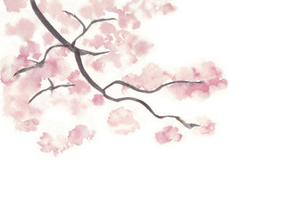 桜の木の枝