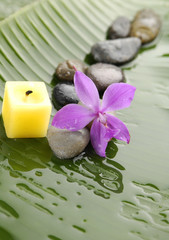 Pink orchid and stones with yellow candle on wet banana leaf