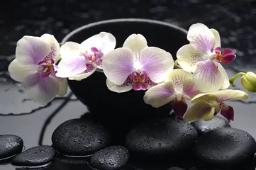 Dekokissen Spa-Konzept – Zweig gelbe Orchidee in Schale mit Steinen © Mee Ting