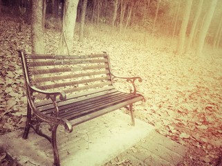 Benches in the forest